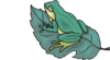 Frog On A Leaf Clip Art